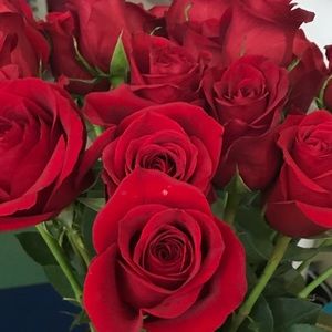 Meet your Posher, Juana